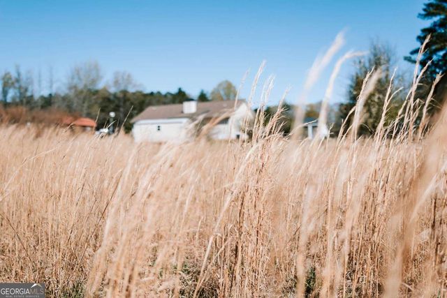 2242 Crawfordville Road, Rayle, GA 30660