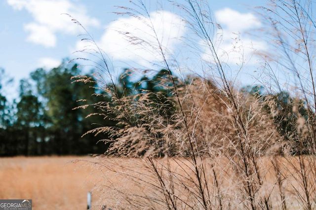 2242 Crawfordville Road, Rayle, GA 30660