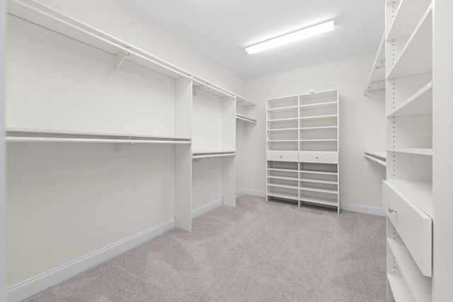 925 CYPRESS VINE CV, Collierville, TN 38017