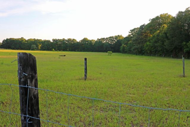 Tbd Poinsettia Rd, Wagener, SC 29164