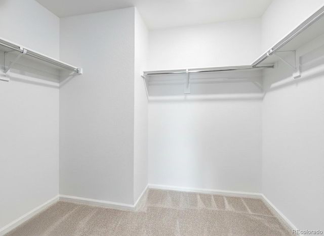 714 Prairie Clover Way, Brighton, CO 80640