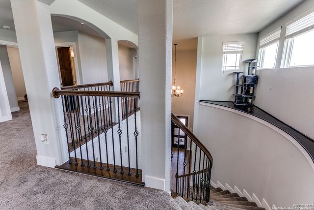 4614 Winter Cherry, San Antonio, TX 78245