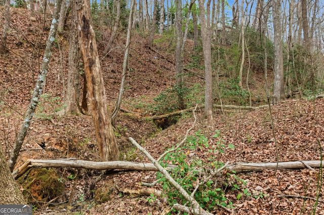 276 Bent Oak Drive, Cornelia, GA 30531