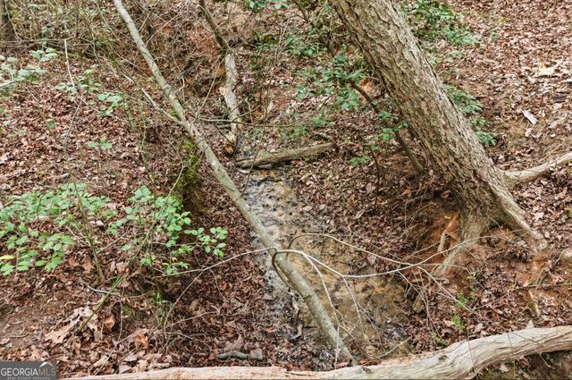 276 Bent Oak Drive, Cornelia, GA 30531