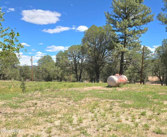 45985 N AZ Hwy 288 --, Young, AZ 85554