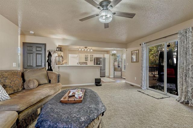 7295 Cotton Drive, Colorado Springs, CO 80923