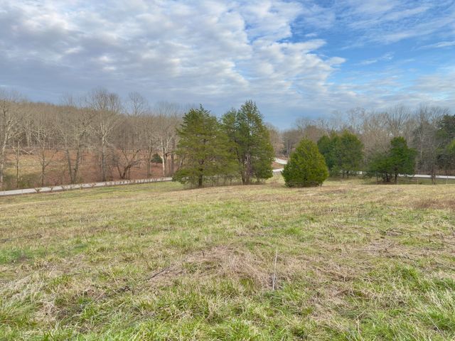 12112 Paw Paw Springs Rd, Arrington, TN 37014