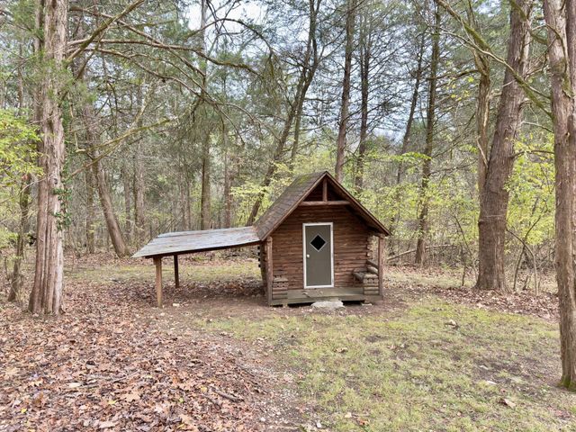 12112 Paw Paw Springs Rd, Arrington, TN 37014