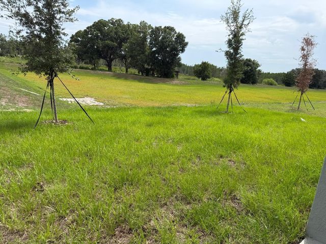 3910 LIMEKLIN FALLS LOOP, Davenport, FL 33837