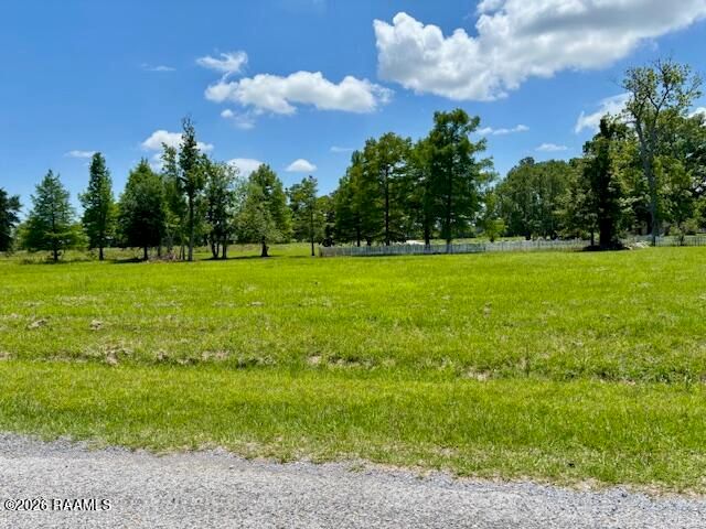 Tbd Walnut Road, Abbeville, LA 70510