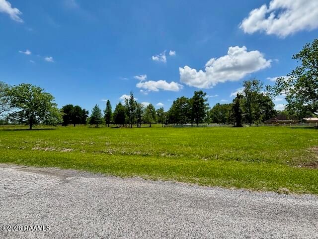 Tbd Walnut Road, Abbeville, LA 70510