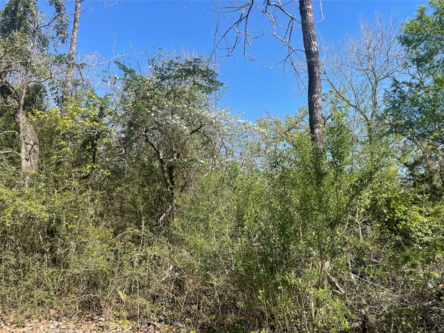 9214 County Road 393, Jewett, TX 75846