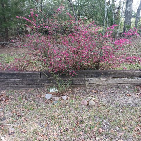 9214 County Road 393, Jewett, TX 75846