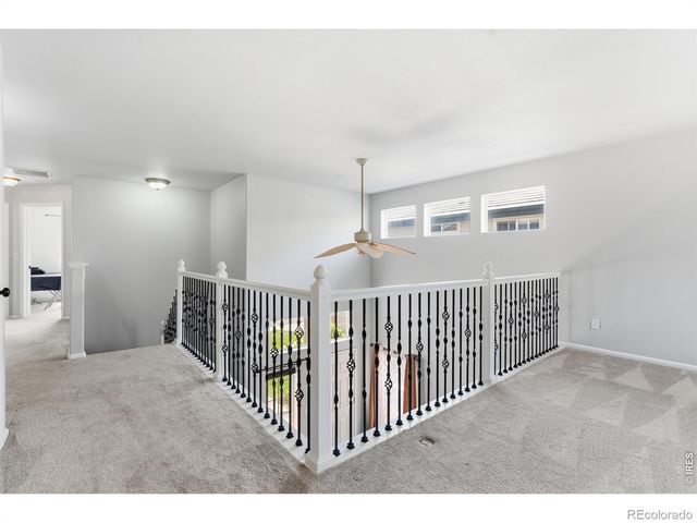 1115 Lochmore Place, Fort Collins, CO 80524