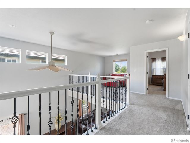 1115 Lochmore Place, Fort Collins, CO 80524