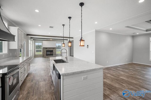 48 County Road 732, Henagar, AL 35978