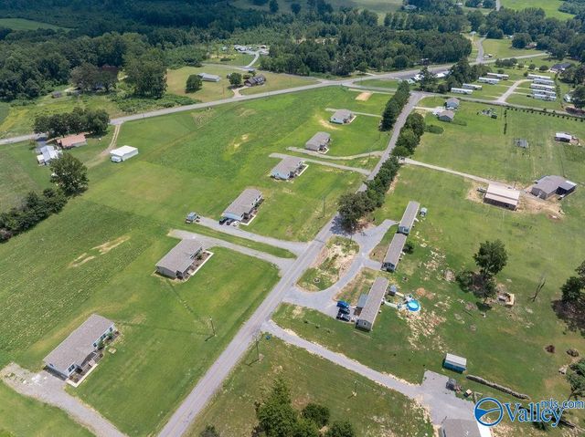 48 County Road 732, Henagar, AL 35978