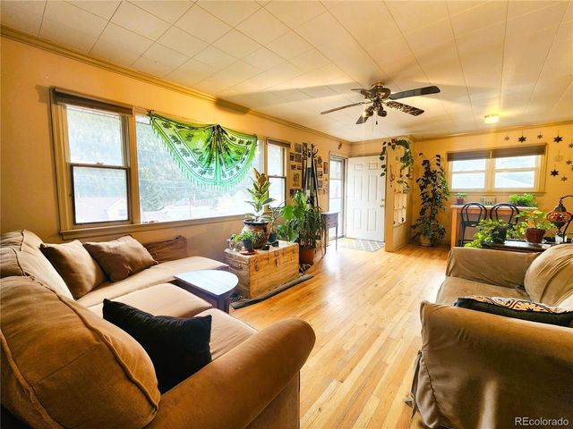 310 Virginia Street, Idaho Springs, CO 80452