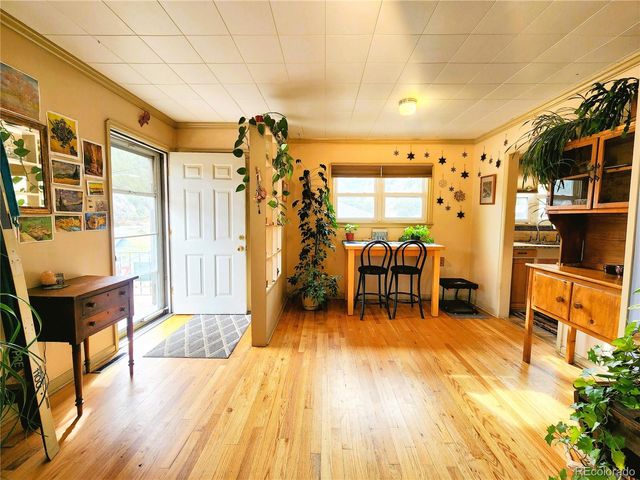 310 Virginia Street, Idaho Springs, CO 80452