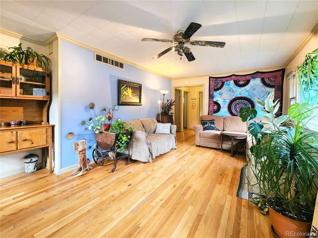 310 Virginia Street, Idaho Springs, CO 80452