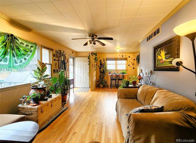 310 Virginia Street, Idaho Springs, CO 80452