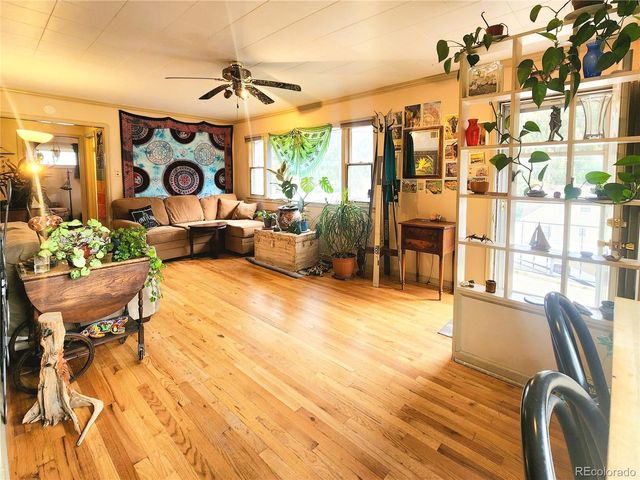 310 Virginia Street, Idaho Springs, CO 80452
