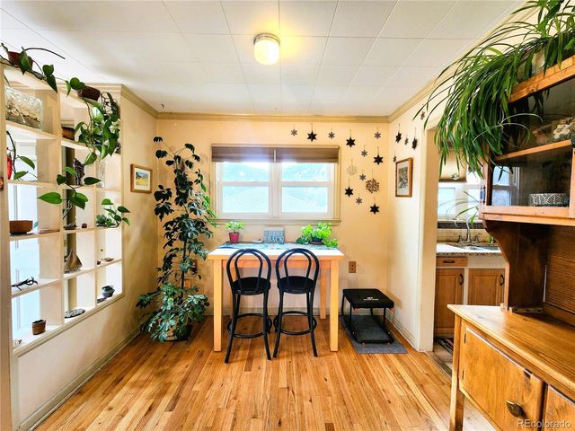 310 Virginia Street, Idaho Springs, CO 80452