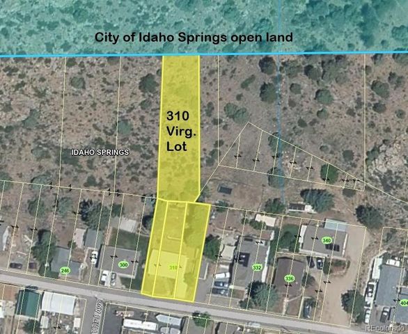 310 Virginia Street, Idaho Springs, CO 80452