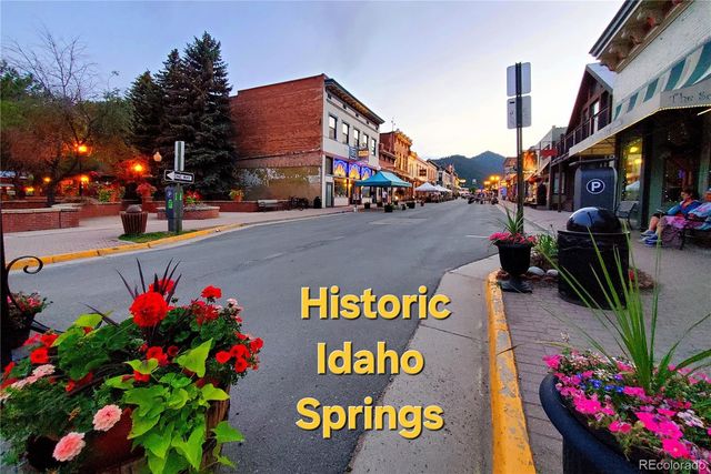 310 Virginia Street, Idaho Springs, CO 80452
