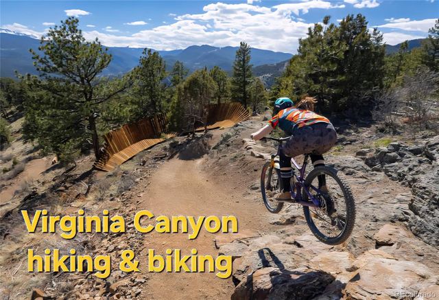 310 Virginia Street, Idaho Springs, CO 80452