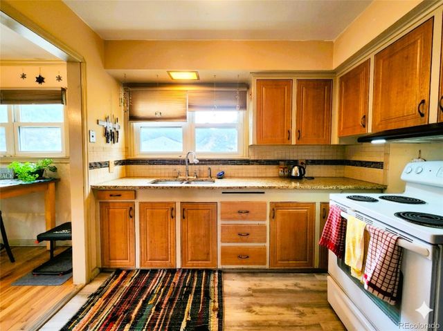 310 Virginia Street, Idaho Springs, CO 80452