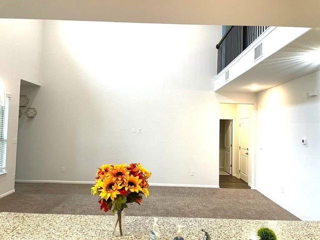 2709 Fortezza WAY, Round Rock, TX 78665