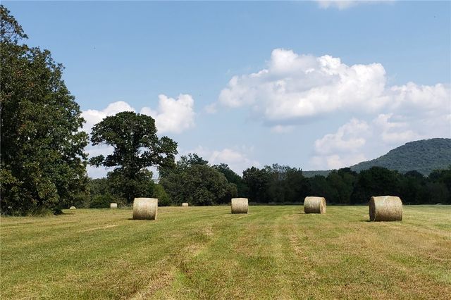 696 Highway 21 N, Berryville, AR 72616