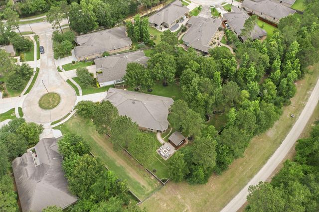 113 Sundrop Ridge Court, Montgomery, TX 77316