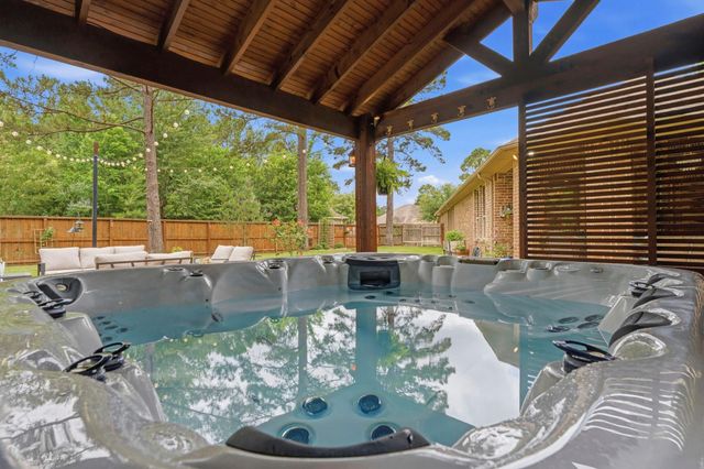 113 Sundrop Ridge Court, Montgomery, TX 77316