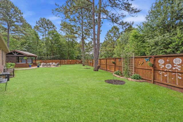 113 Sundrop Ridge Court, Montgomery, TX 77316