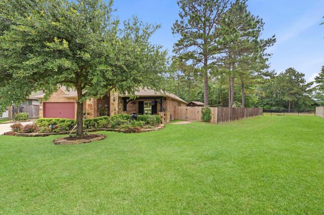 113 Sundrop Ridge Court, Montgomery, TX 77316