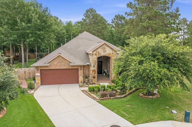 113 Sundrop Ridge Court, Montgomery, TX 77316
