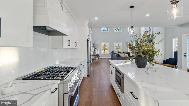 12738 HEATHLAND DR, Bishopville, MD 21813