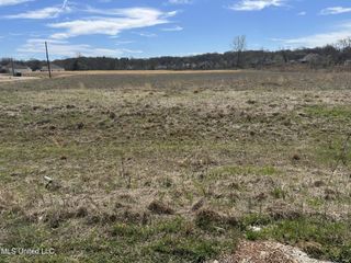 60 Estates Of Grays Valley, Hernando, MS 38632
