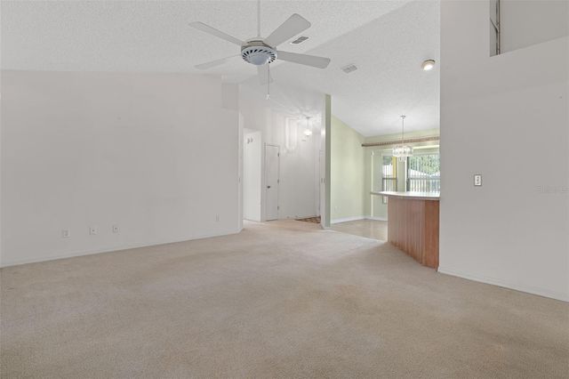 2472 CR 447, Lake Panasoffkee, FL 33538