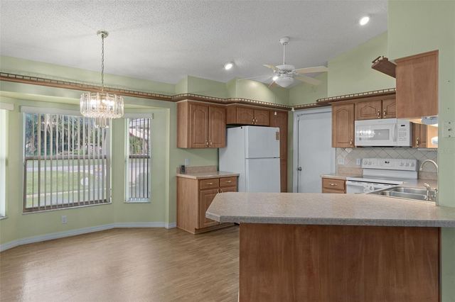 2472 CR 447, Lake Panasoffkee, FL 33538