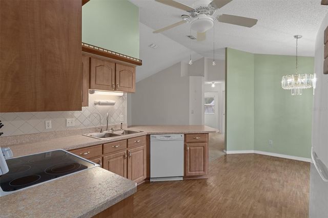 2472 CR 447, Lake Panasoffkee, FL 33538