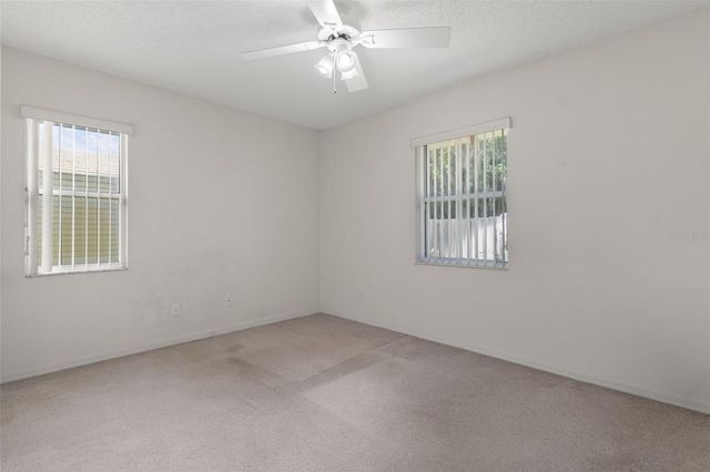 2472 CR 447, Lake Panasoffkee, FL 33538