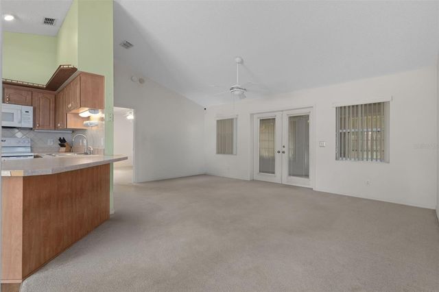 2472 CR 447, Lake Panasoffkee, FL 33538