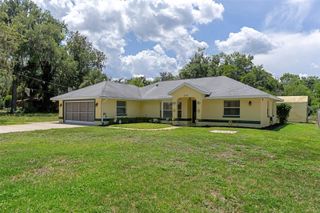 2472 CR 447, Lake Panasoffkee, FL 33538