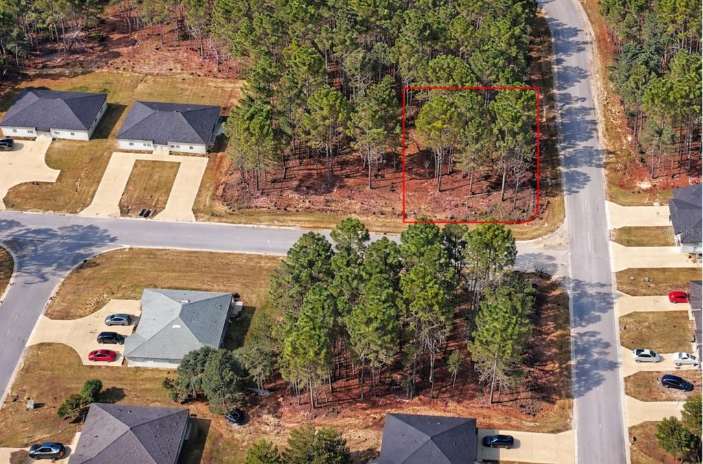 9536 N CAMEL DRIVE, Dunnellon, FL 34434