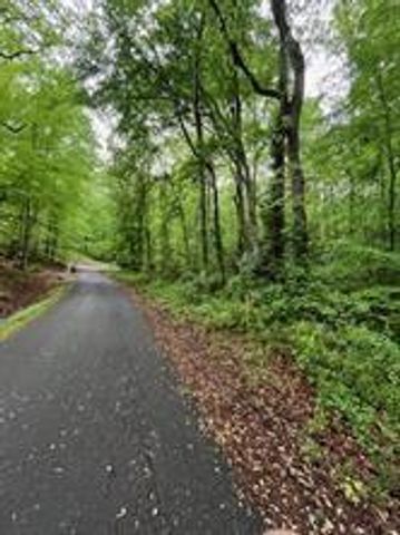 422 Dogwood Drive, Canton, GA 30114