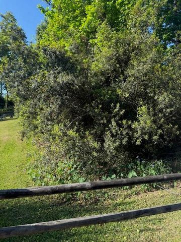 928 Valley Street, Hanahan, SC 29410
