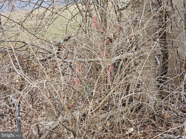 20117 MCMULLEN HWY SW, Rawlings, MD 21557